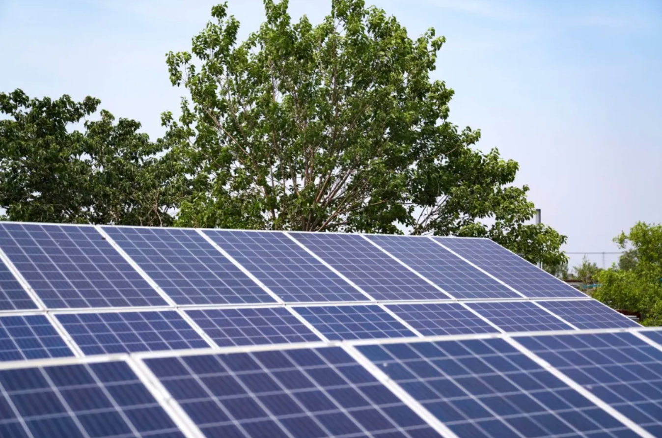 又一利好！《关于促进可再生能源绿色电力证书市场高质量发展的意见》出台