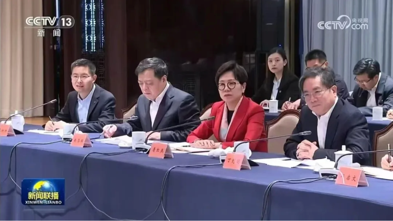 南存辉参加总理座谈会发言：以新质生产力推进新型工业化