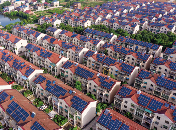 @所有人 低碳环保还能增收，快来打卡&ldquo;浙&rdquo;里闪光点